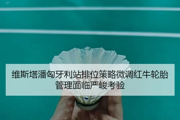 维斯塔潘匈牙利站排位策略微调红牛轮胎管理面临严峻考验