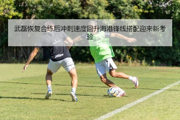 武磊恢复合练后冲刺速度回升海港锋线搭配迎来新考验