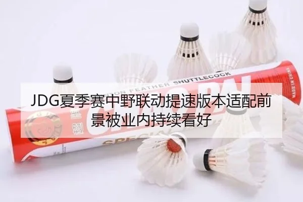 JDG夏季赛中野联动提速版本适配前景被业内持续看好
